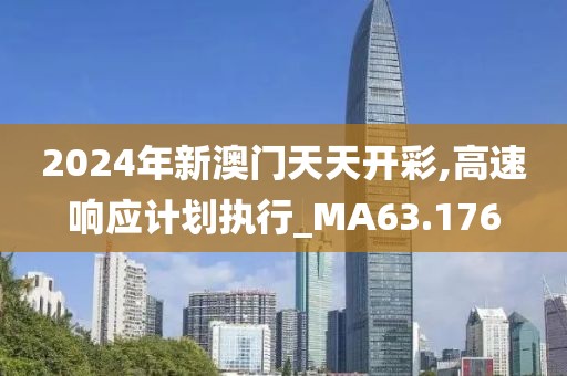 2024年新澳门天天开彩,高速响应计划执行_MA63.176