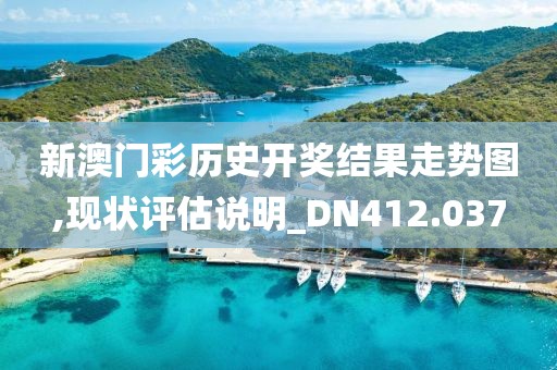 新澳门彩历史开奖结果走势图,现状评估说明_DN412.037