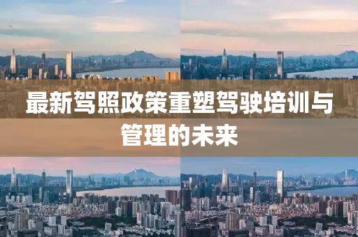 最新驾照政策重塑驾驶培训与管理的未来