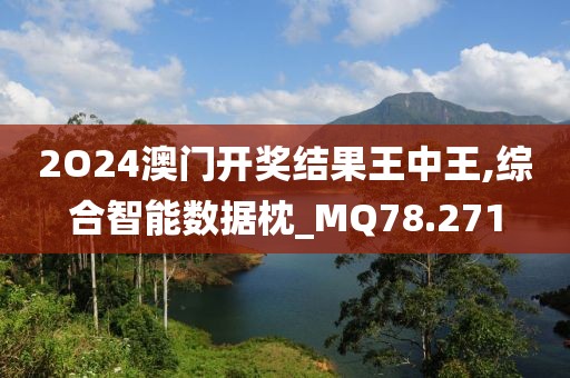 2O24澳门开奖结果王中王,综合智能数据枕_MQ78.271