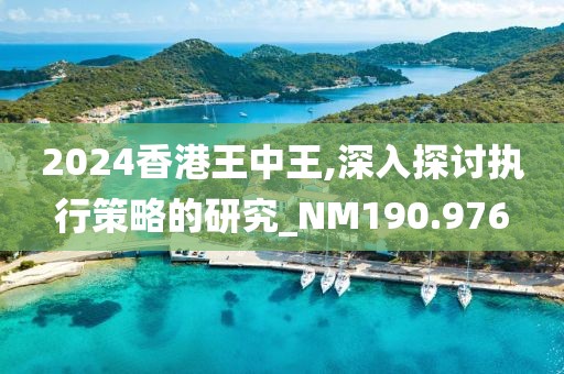 2024香港王中王,深入探讨执行策略的研究_NM190.976