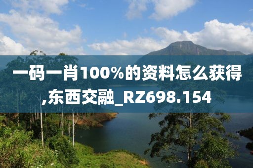 一码一肖100%的资料怎么获得,东西交融_RZ698.154