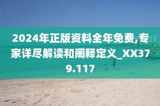 2024年正版资料全年免费,专家详尽解读和阐释定义_XX379.117