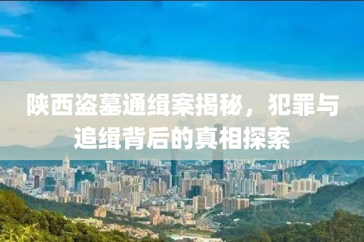 陕西盗墓通缉案揭秘，犯罪与追缉背后的真相探索