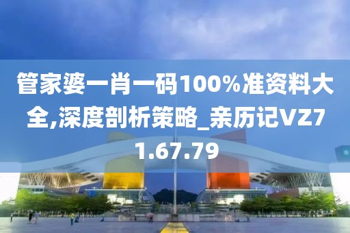 管家婆一肖一码100%准资料大全,深度剖析策略_亲历记VZ71.67.79