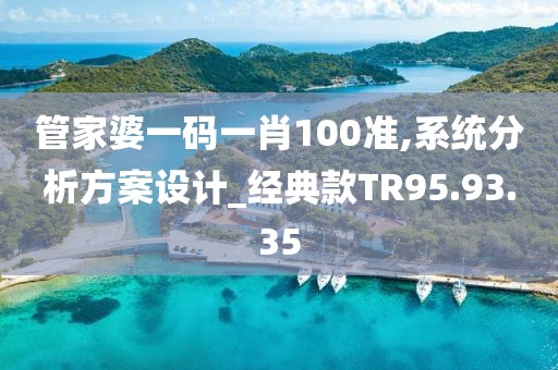 管家婆一码一肖100准,系统分析方案设计_经典款TR95.93.35