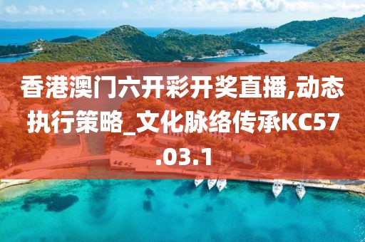 香港澳门六开彩开奖直播,动态执行策略_文化脉络传承KC57.03.1