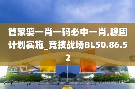 管家婆一肖一码必中一肖,稳固计划实施_竞技战场BL50.86.52