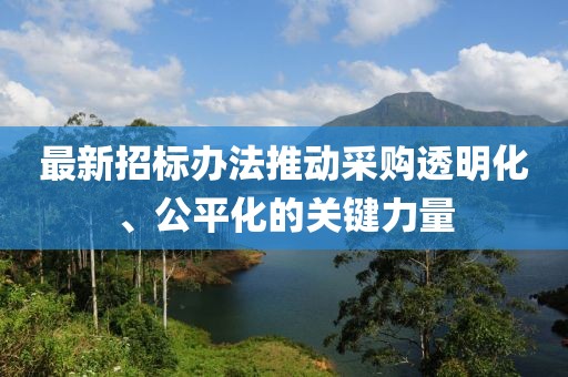 最新招标办法推动采购透明化、公平化的关键力量