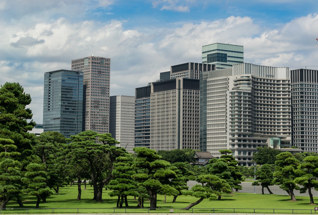 五月在线股票行情查询，洞悉股市动态，把握投资先机