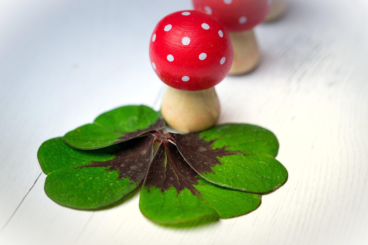 五月蚁力神最新动态，引领未来科技的力量，展现科技魅力！
