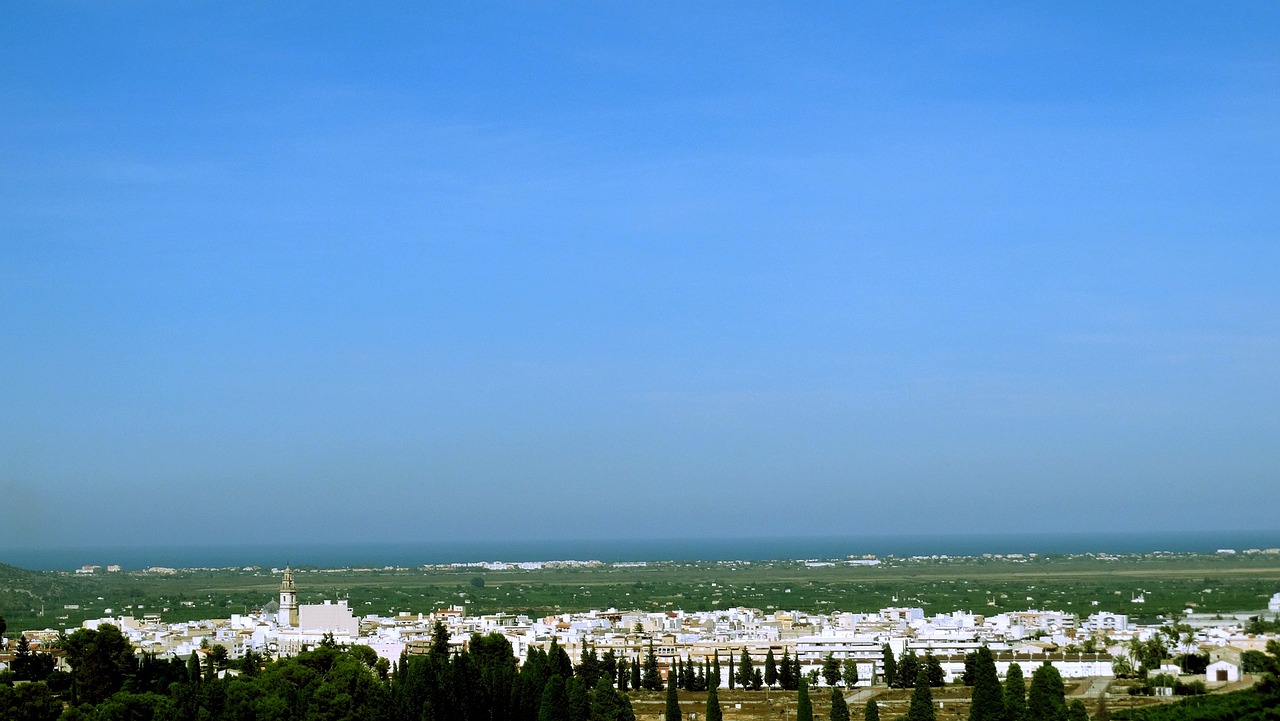 五月啤酒市场动态，价格走势分析与市场聚焦